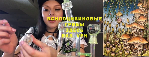 дурь Липки