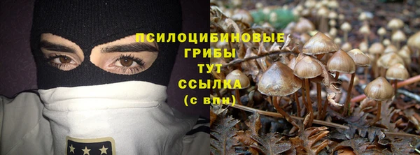 меф Майский