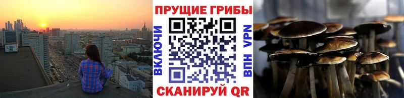 Галлюциногенные грибы Psilocybine cubensis  OMG ссылка  Тихорецк 